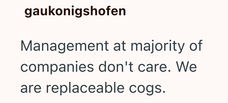 gaukonigshofen Management at majority of companies don't care. We are replaceable cogs.