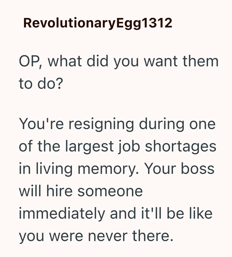 RevolutionaryEgg1312 OP, what did you want them to do? You're resigning during one of the largest job shortages in living memory. Your boss will hire someone immediately and it'll be like you were never there.