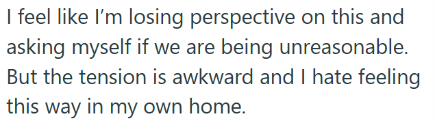 I feel like I'm losing perspective on this and asking myself if we are being unreasonable. But the tension is awkward and I hate feeling this way in my own home.