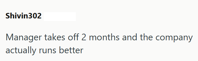 Shivin302 Manager takes off 2 months and the company actually runs better