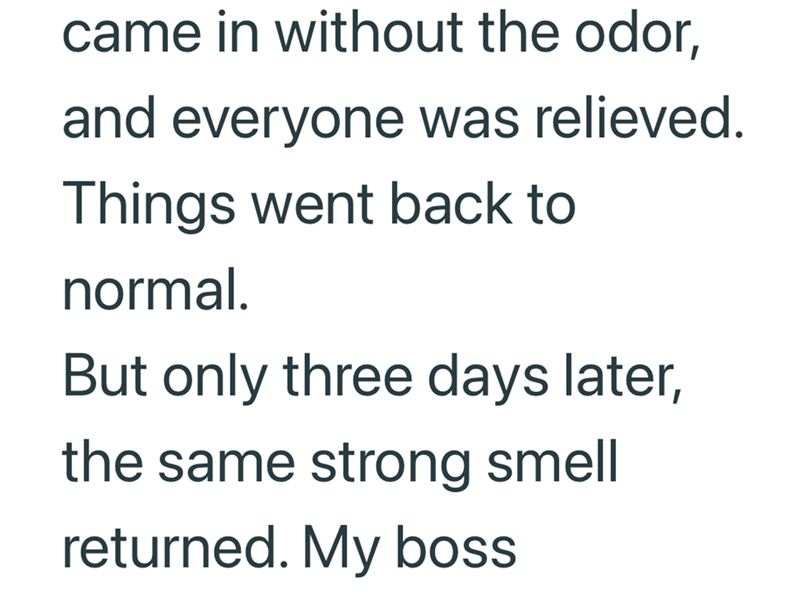 came in without the odor, and everyone was relieved. Things went back to normal. But only three days later, the same strong smell returned. My boss