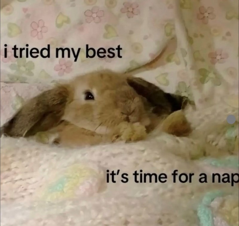 i tried my best it's time for a nap