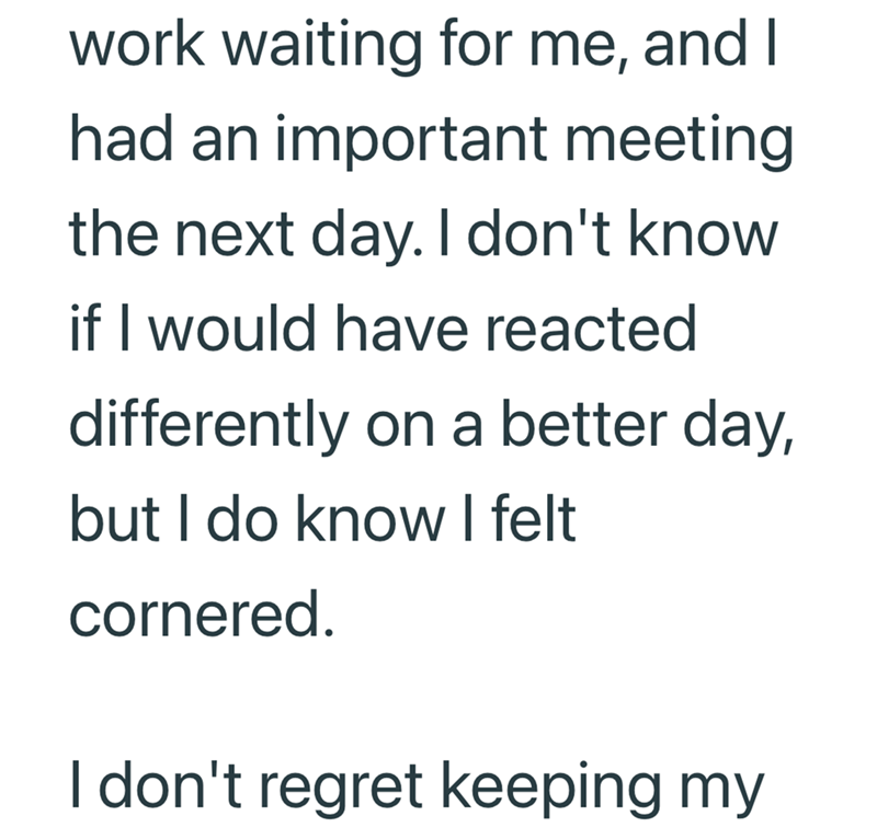 work waiting for me, and I had an important meeting the next day. I don't know if I would have reacted differently on a better day, but I do know I felt cornered. I don't regret keeping my