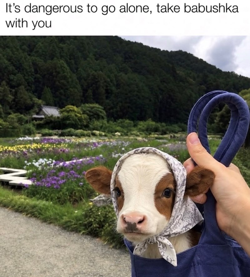 It's dangerous to go alone, take babushka with you