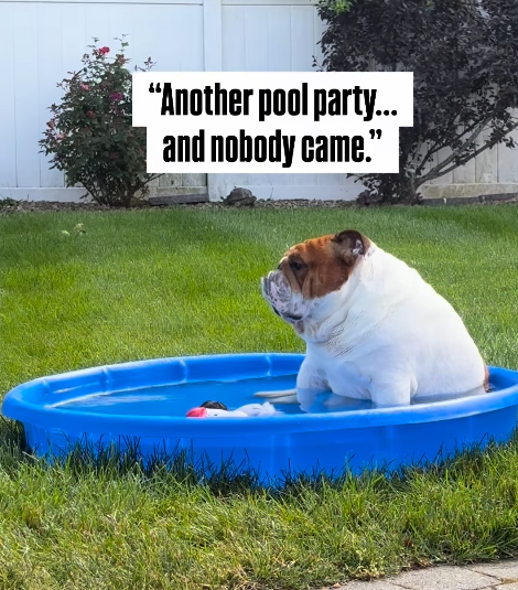"Another pool party... and nobody came."