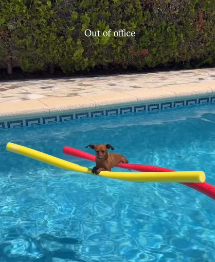 Out of office