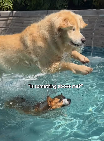 "Is something above me?"
