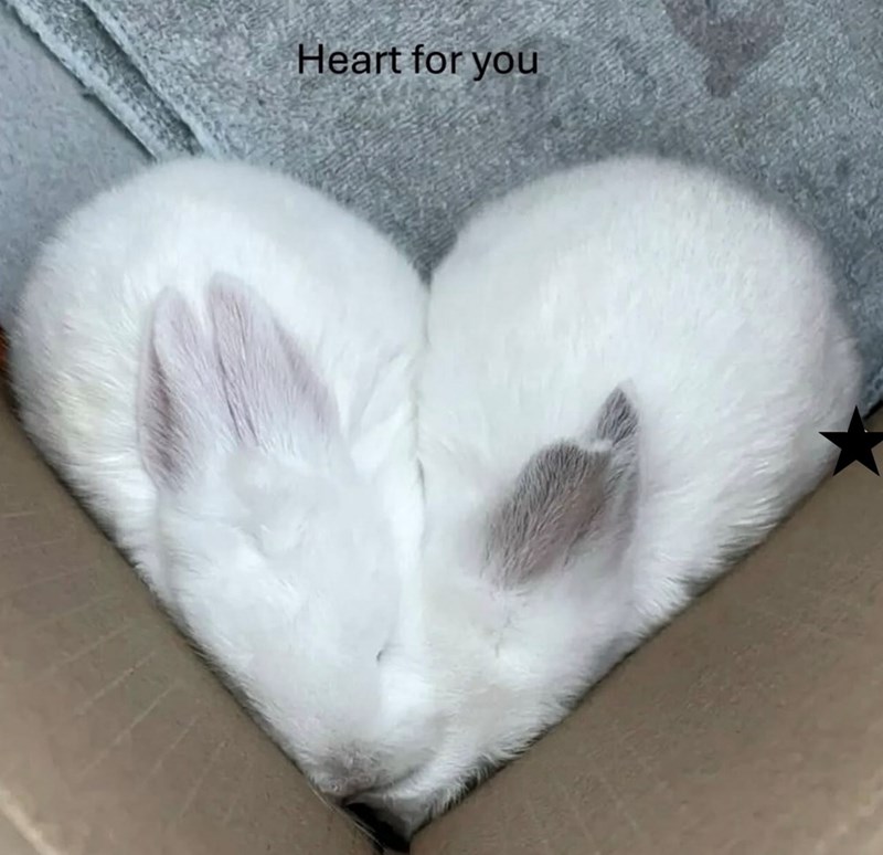 Heart for you