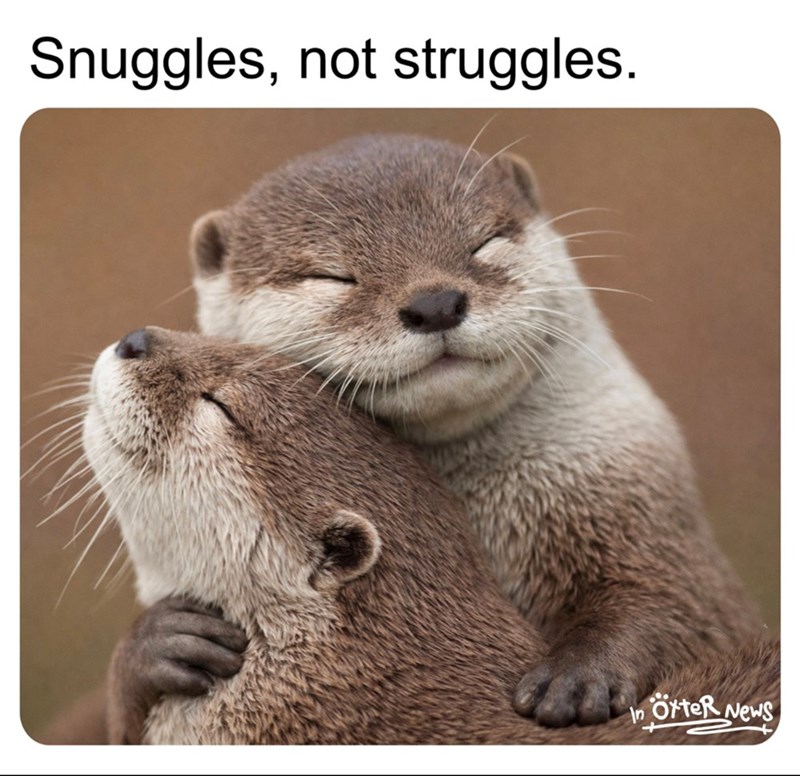 Snuggles, not struggles. In ÖrteR News