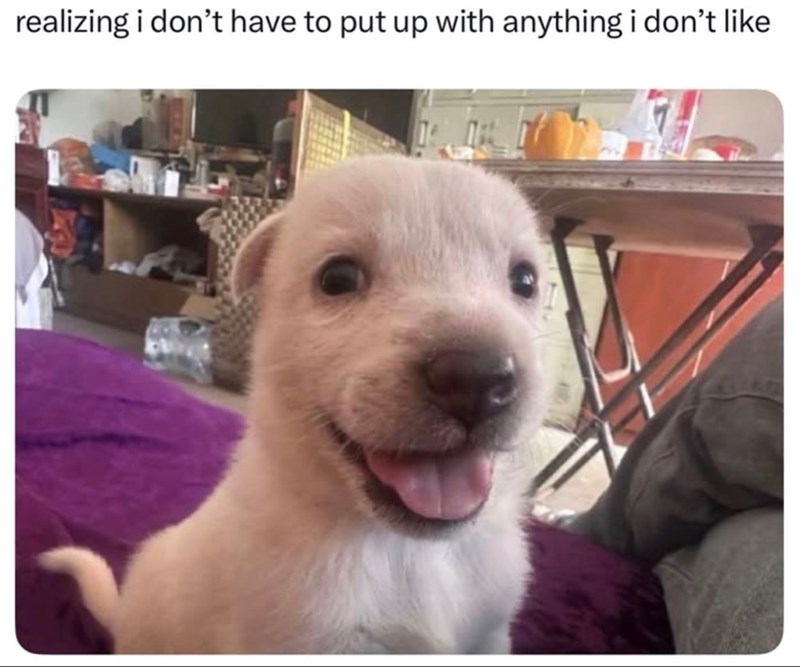 realizing i don't have to put up with anything i don't like