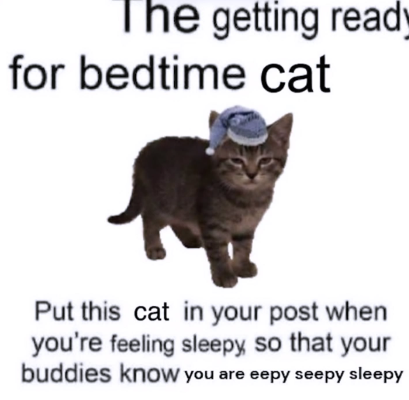 The getting ready for bedtime cat Put this cat in your post when you're feeling sleepy, so that your buddies know you are eepy seepy sleepy