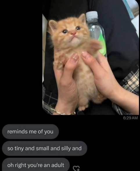 reminds me of you so tiny and small and silly and oh right you're an adult 6:29 AM