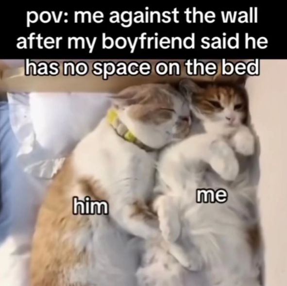 pov: me against the wall after my boyfriend said he has no space on the bed me him