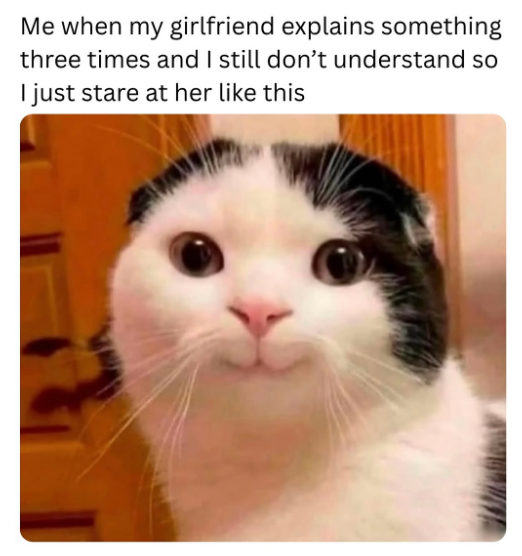 Me when my girlfriend explains something three times and I still don't understand so I just stare at her like this