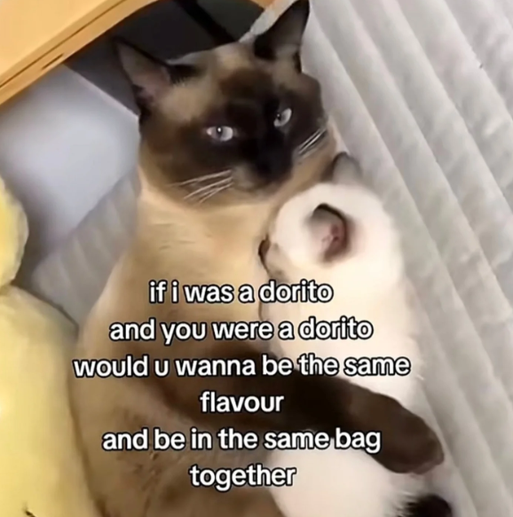 if i was a dorito and you were a dorito would u wanna be the same flavour and be in the same bag together