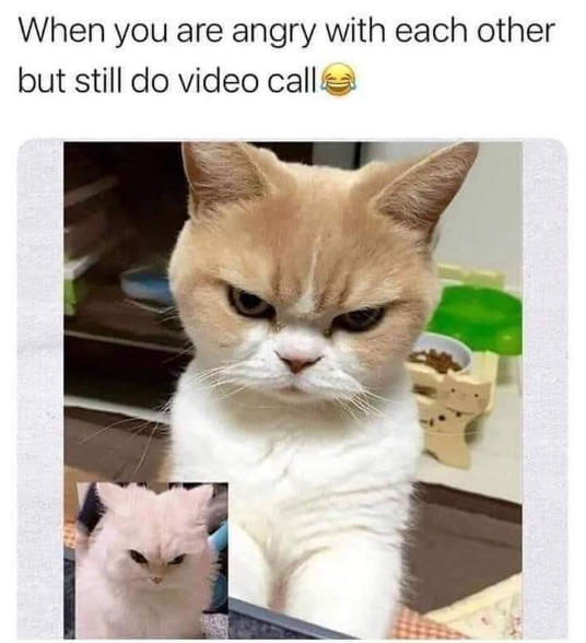 When you are angry with each other but still do video call