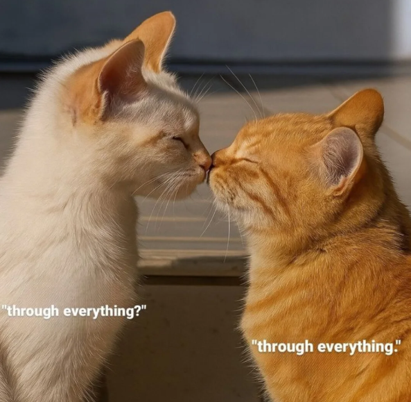 "through everything?" "through everything."