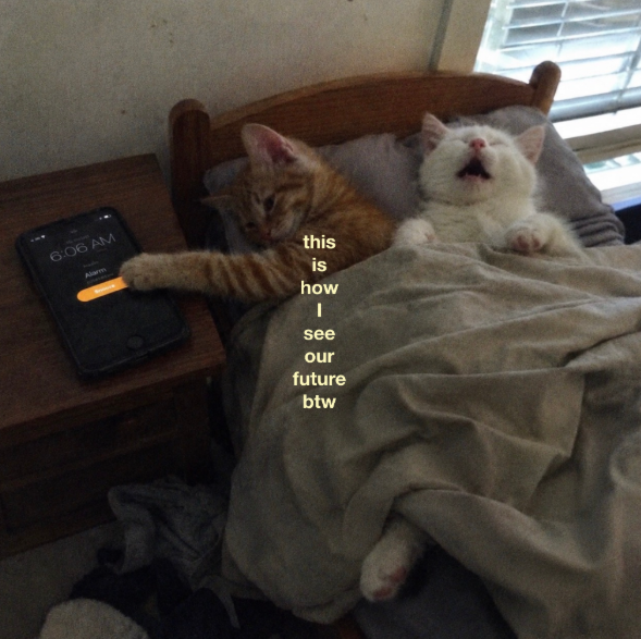 6:06 AM Alarm this is how I see our future btw