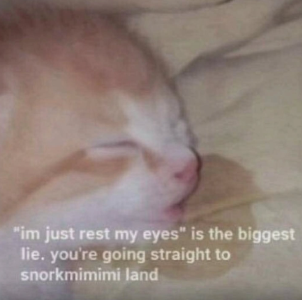 "im just rest my eyes" is the biggest lie. you're going straight to snorkmimimi land