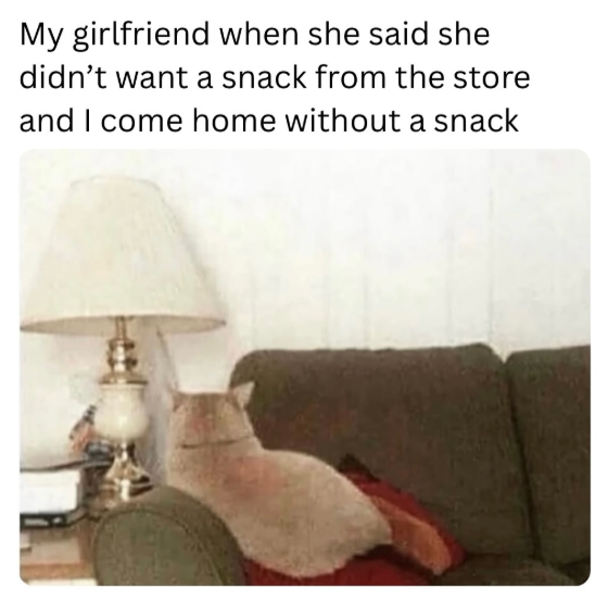 My girlfriend when she said she didn't want a snack from the store and I come home without a snack