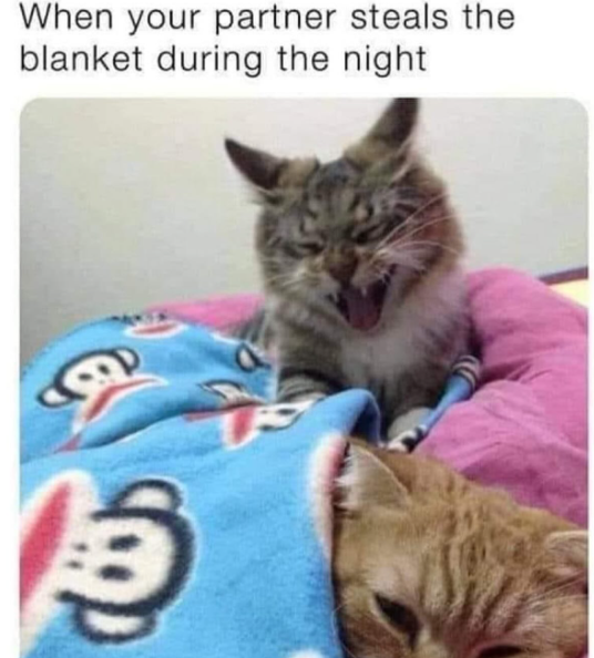 When your partner steals the blanket during the night