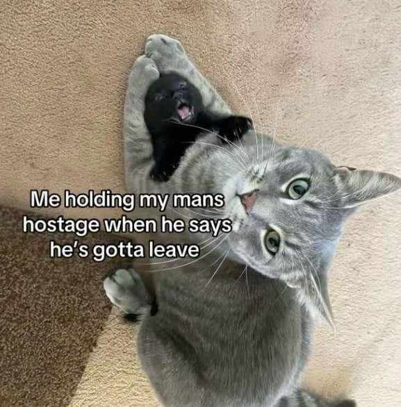 Me holding my mans hostage when he says he's gotta leave
