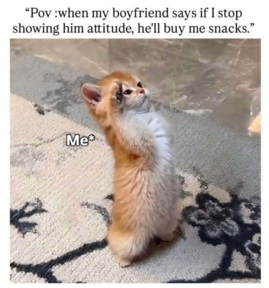 "Pov :when my boyfriend says if I stop showing him attitude, he'll buy me snacks." Me
