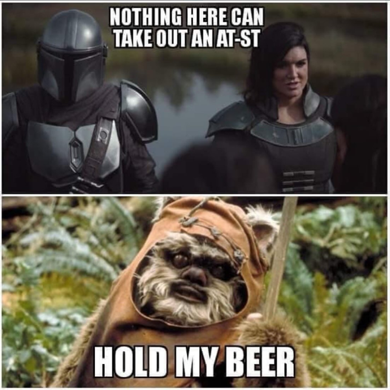 NOTHING HERE CAN TAKE OUT AN AT-ST HOLD MY BEER