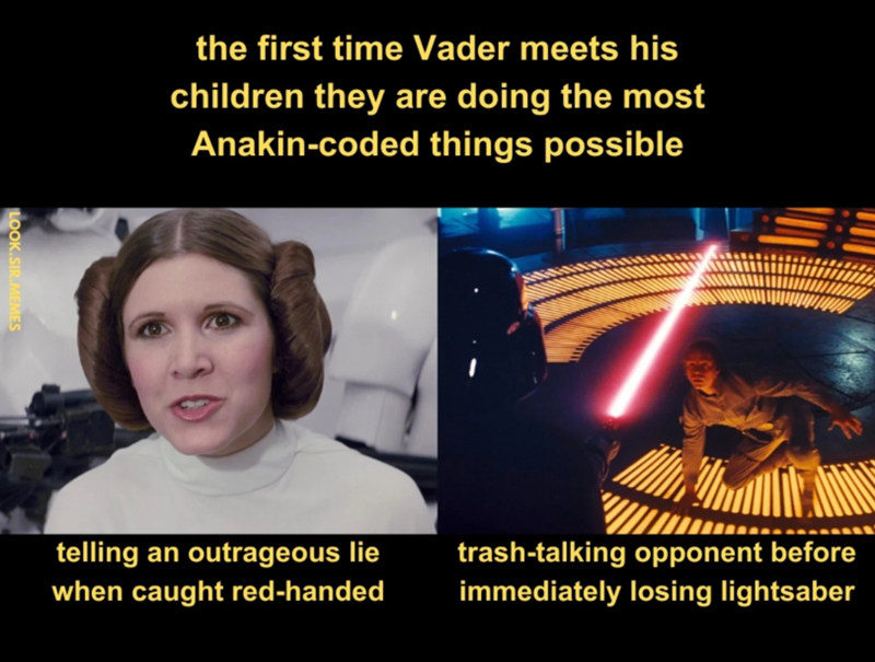 LOOK.SIR.MEMES the first time Vader meets his children they are doing the most Anakin-coded things possible telling an outrageous lie when caught red-handed trash-talking opponent before immediately losing lightsaber