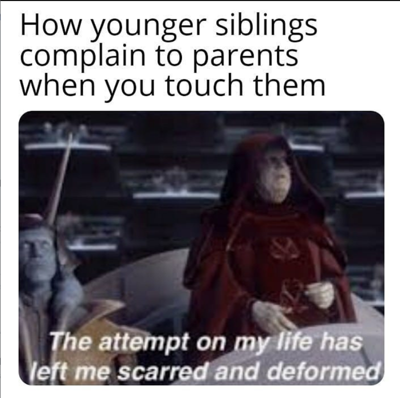 How younger siblings complain to parents when you touch them The attempt on my life has left me scarred and deformed