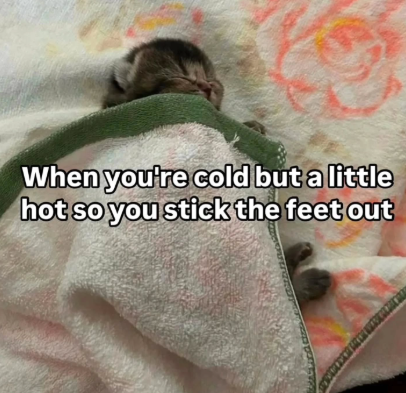 When you're cold but a little hot so you stick the feet out