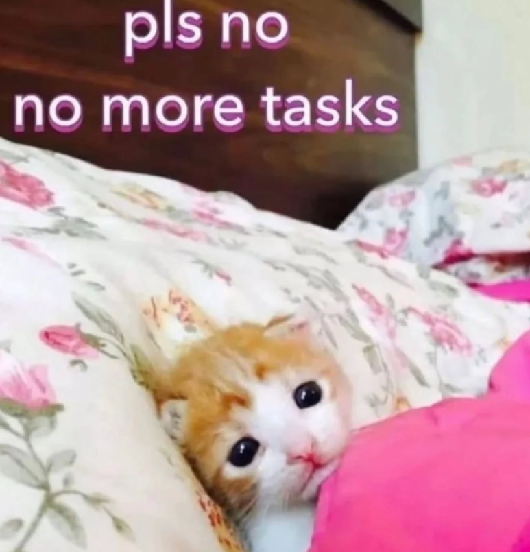pls no no more tasks
