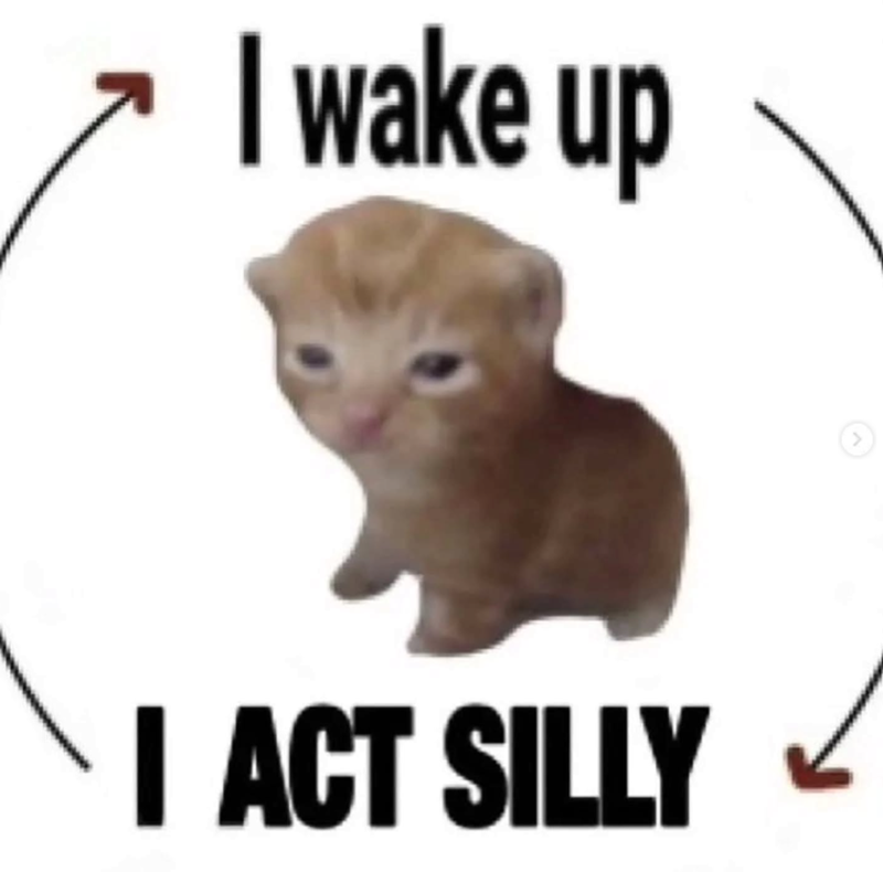 I wake up I ACT SILLY >