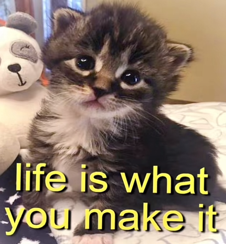 life is what you make it