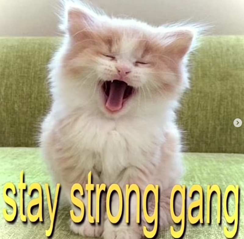 stay strong gang