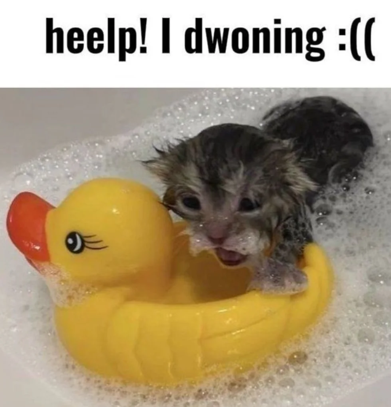 heelp! I dwoning :((