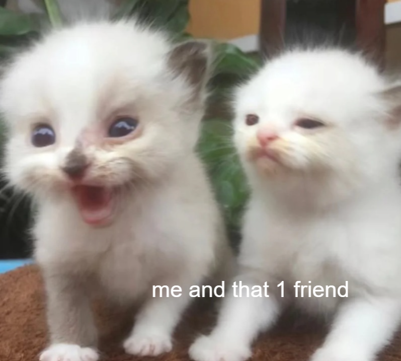 me and that 1 friend