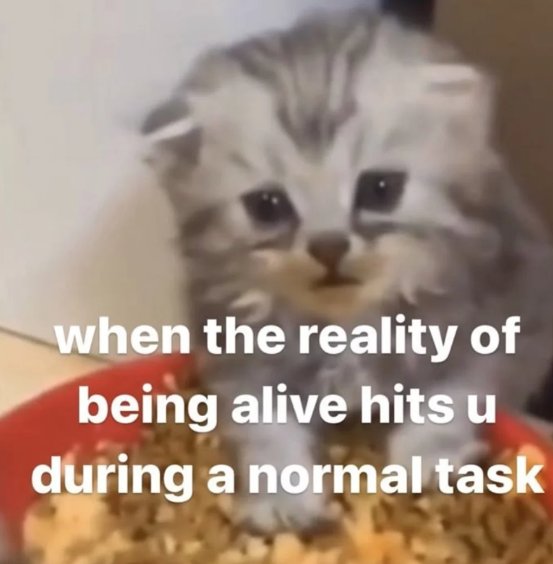 when the reality of being alive hits u during a normal task