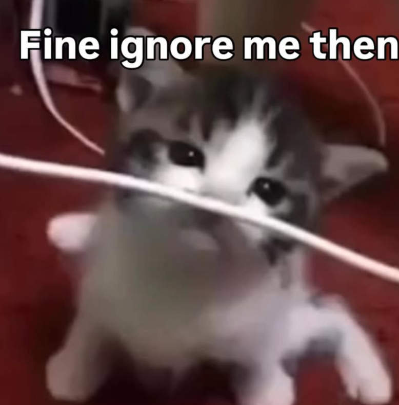 Fine ignore me then