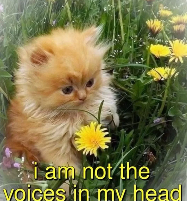 i am not the voices in my head