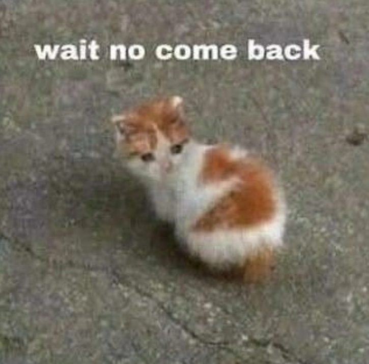 wait no come back