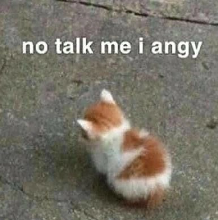 no talk me i angy