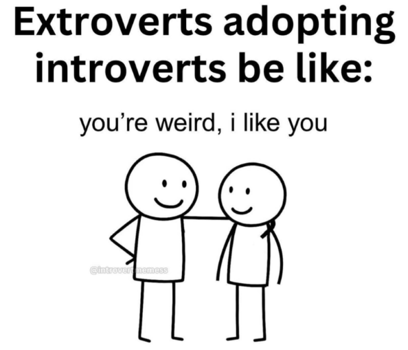 Extroverts adopting introverts be like: you're weird, i like you Qintrovert memess