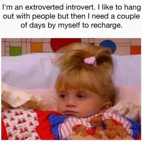 I'm an extroverted introvert. I like to hang out with people but then I need a couple of days by myself to recharge. 225