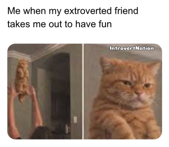 Me when my extroverted friend takes me out to have fun IntrovertNation