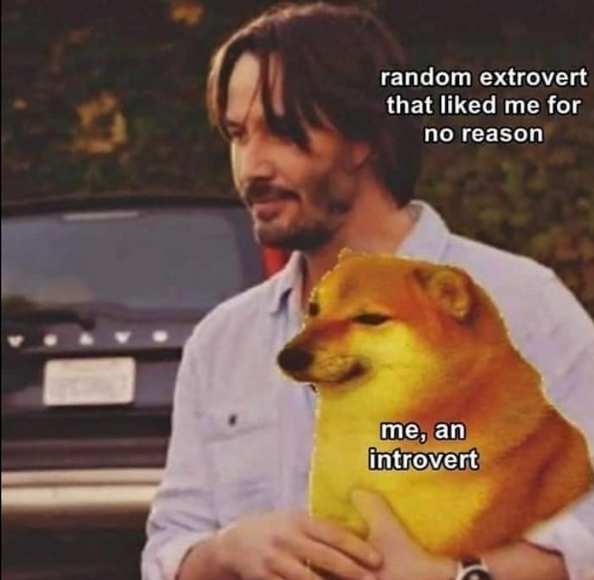 random extrovert that liked me for no reason me, an introvert