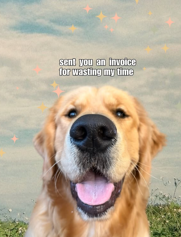 sent you an invoice for wasting my time