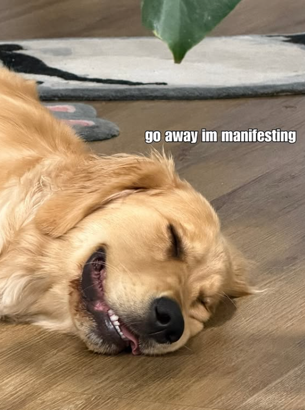 go away im manifesting