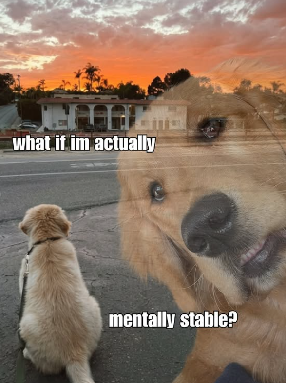what if im actually mentally stable?