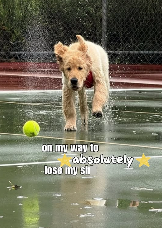 on my way to absolutely lose my sh